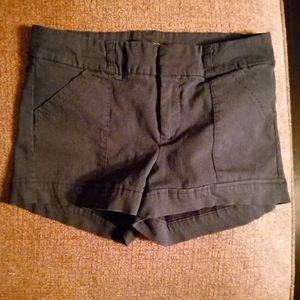 Navy Blue Bebop Short Shorts